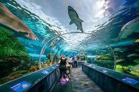 CN Tower, Ripley’s Aquarium & 360 Restaurant